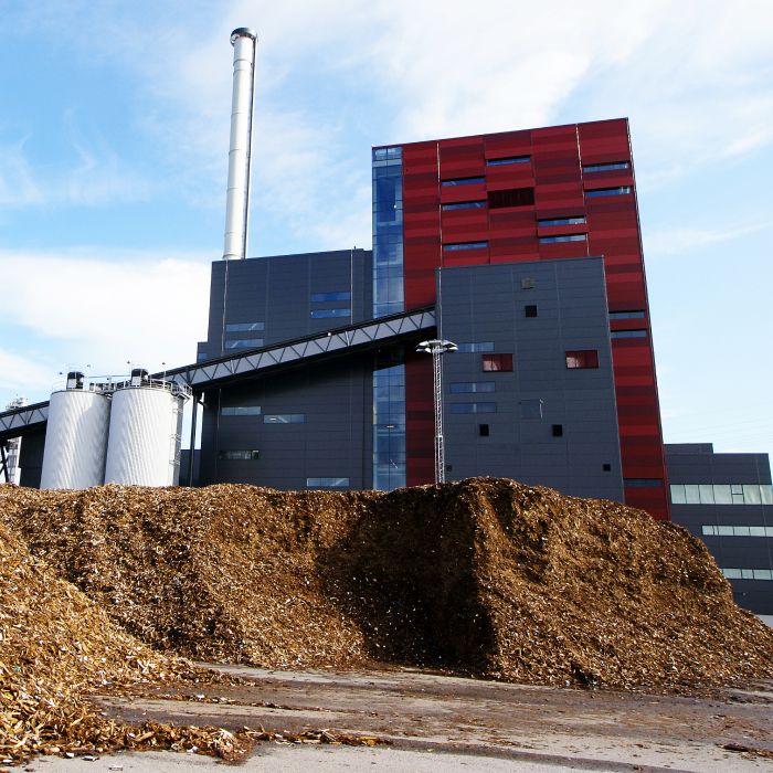 Biomasse expertise image MANERGY