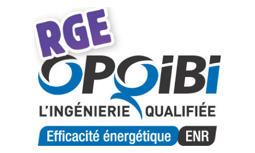 LOGO RGE