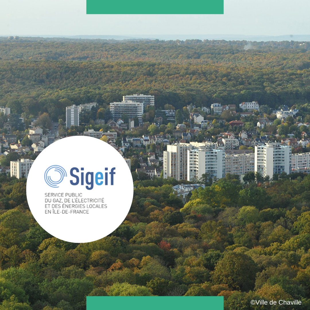 Article blog_Flash info_L’actualité de nos nouveaux projets _Janvier 2025_SIGEIF_MANERGY Territoires