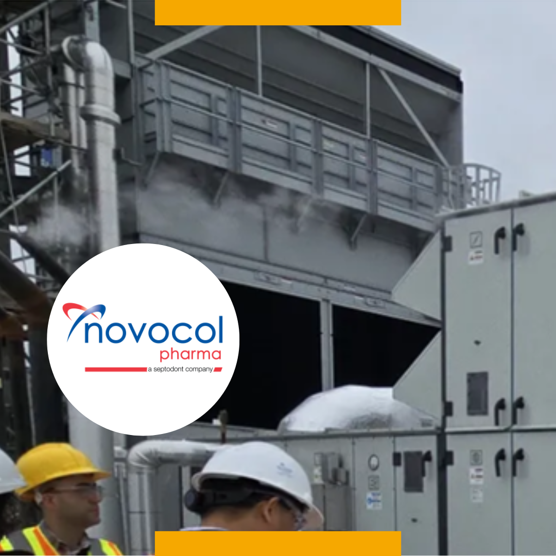 Article blog_Flash info_L’actualité de nos nouveaux projets _Février 2025_Nococol Pharma _MANERGY Industries